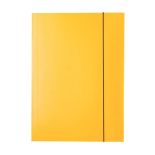 Mapa carton A4, cu elastic, galben, Esselte Economy