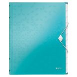 Mapa plastic A4, cu elastic, 12 separatoare, turcoaz metalizat, Leitz WOW
