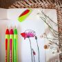 Linere si finelinere - Liner, varf 0.8mm, verde, Schneider Xpress thumbnail