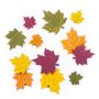 Forme decorative din lemn - frunze de artar, diferite dimensiuni, 12 buc/set, 4 culori, Dp Craft thumbnail