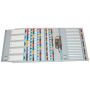 Separatoare din carton A4, index laminat color Ianuarie-Decembrie, Esselte Mylar thumbnail