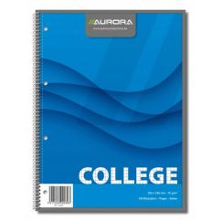 Caiet cu spira A4, 80file, coperta cartonata, matematica, 4 perforatii, albastru, Aurora College