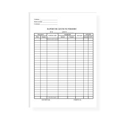 Raport de gestiune periodic, A4, tipar fata, 100 file/carnet