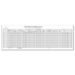 Stat de salarii, 1/A3, tipar fata, 100 file/carnet