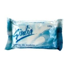 Sapun solid antibacterian, 100 g, Giulia