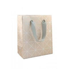 Punga cadou, 190 x 100 x 230mm, M, Rotolux Wish & Shine