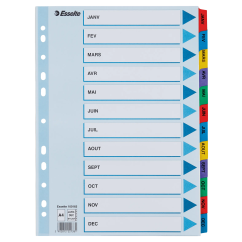 Separatoare din carton A4, index laminat color Ianuarie-Decembrie, Esselte Mylar