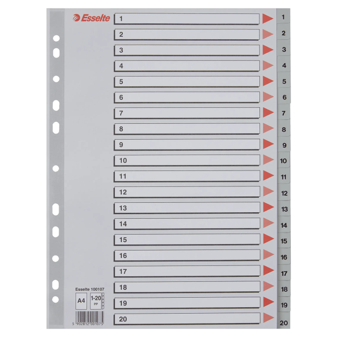 Separatoare din plastic A4, index 1-20, gri, Esselte