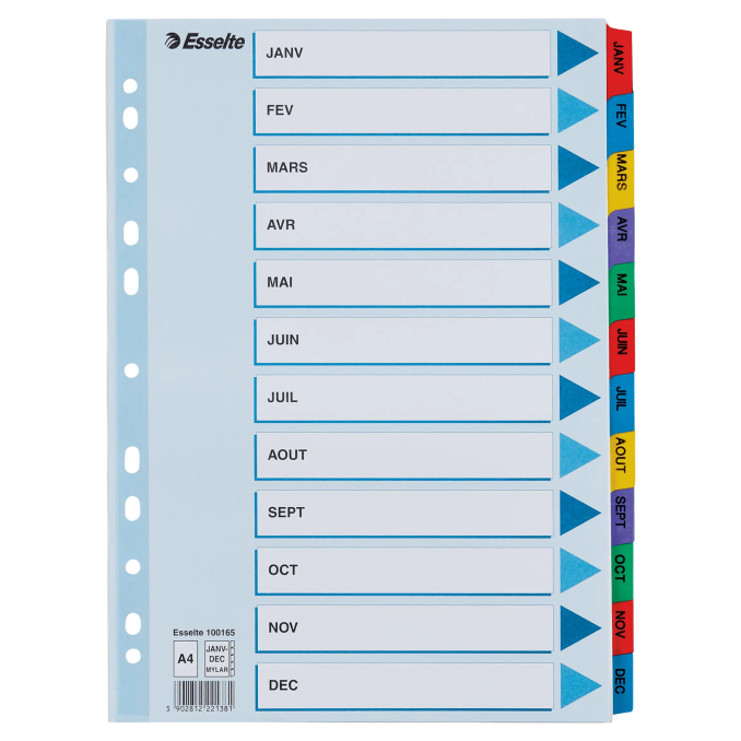 Separatoare din carton A4, index laminat color Ianuarie-Decembrie, Esselte Mylar