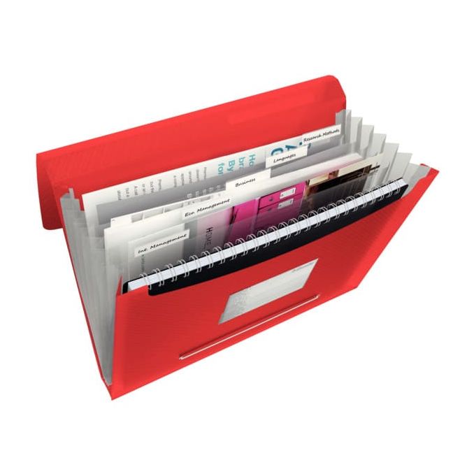 Mape - Mapa plastic A4, tip proiect, 6 compartimente, rosu, Esselte Vivida
