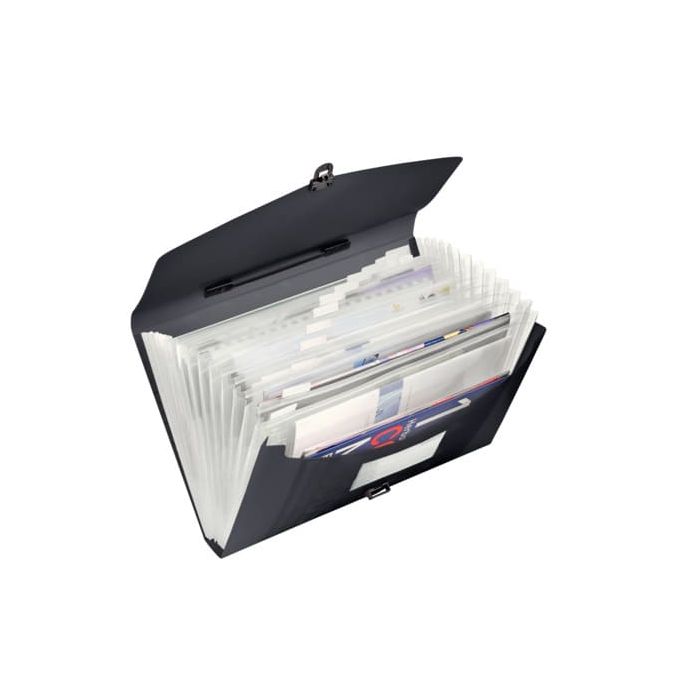 Mape - Mapa plastic A4, tip proiect, cu maner, 12 compartimente, negru, Esselte Vivida