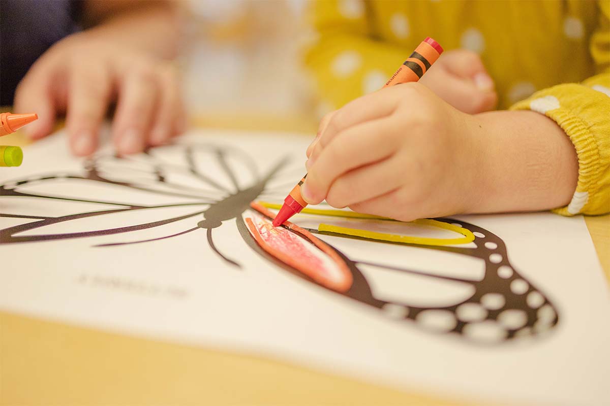 1. Rechizite școlare – listă de produse necesare oricărui elev - creioane cerate, mâini, desen cu fluture