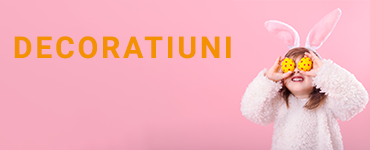 decoratiuni creative doar pe.biroticienii.ro.